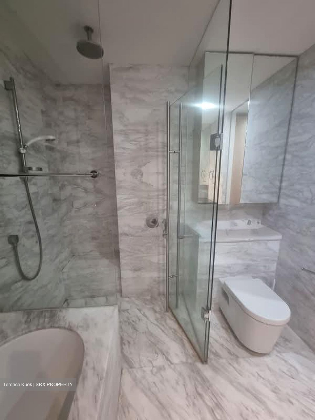 The Arte (D12), Condominium #572180431